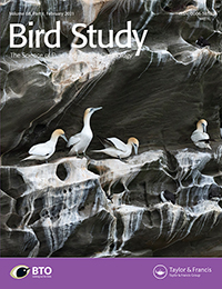 Bird Study