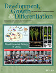 Development Growth & Differentiation