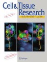 Cell And Tissue Research