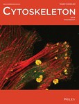 Cytoskeleton